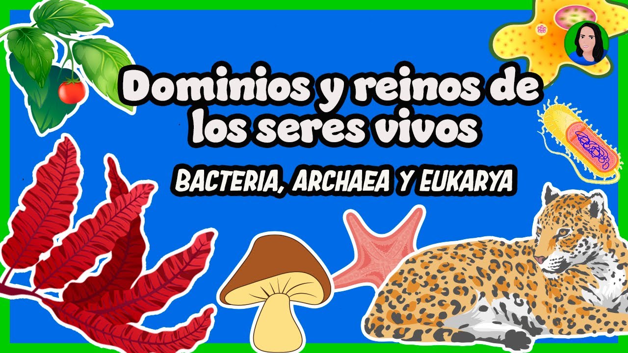 cual es la diferencia entre un dominio y un reino