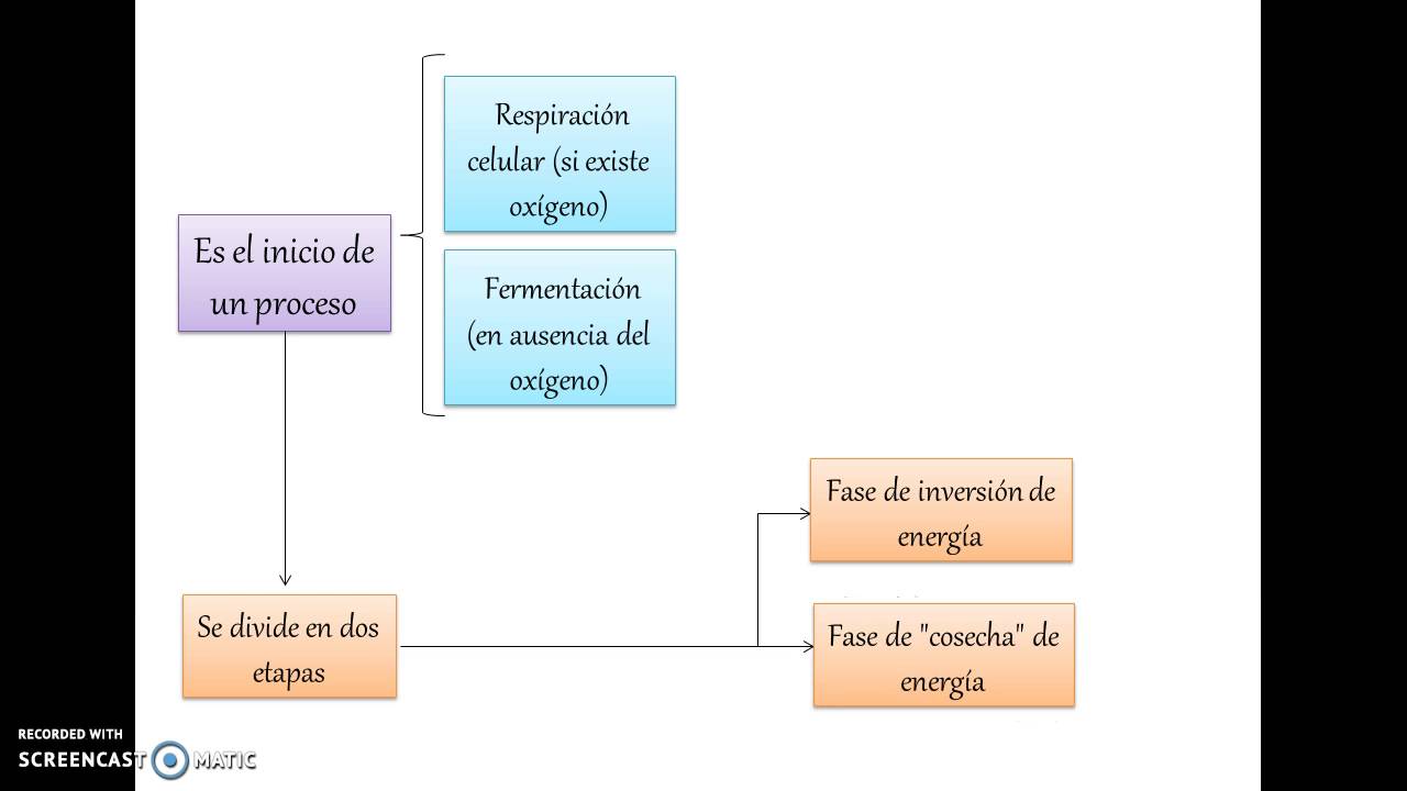 en donde se lleva a cabo la glucolisis