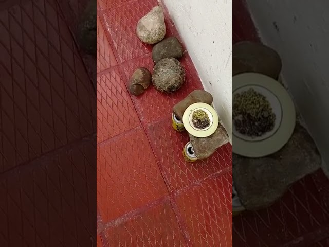 es la union de dos o mas sustancias