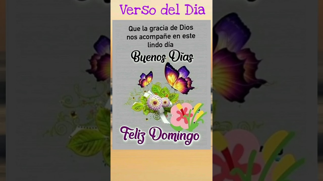 feliz domingo bendiciones para ti y tu familia