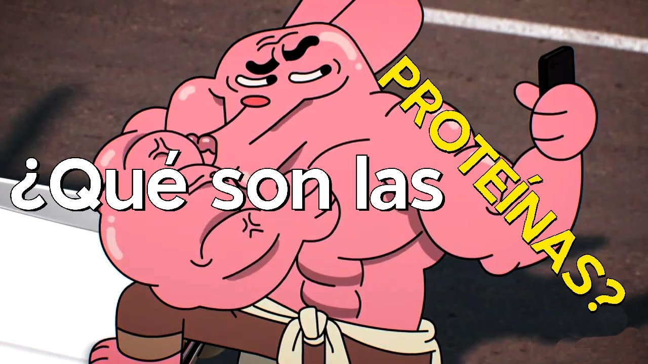 importancia de la proteina en los seres vivos