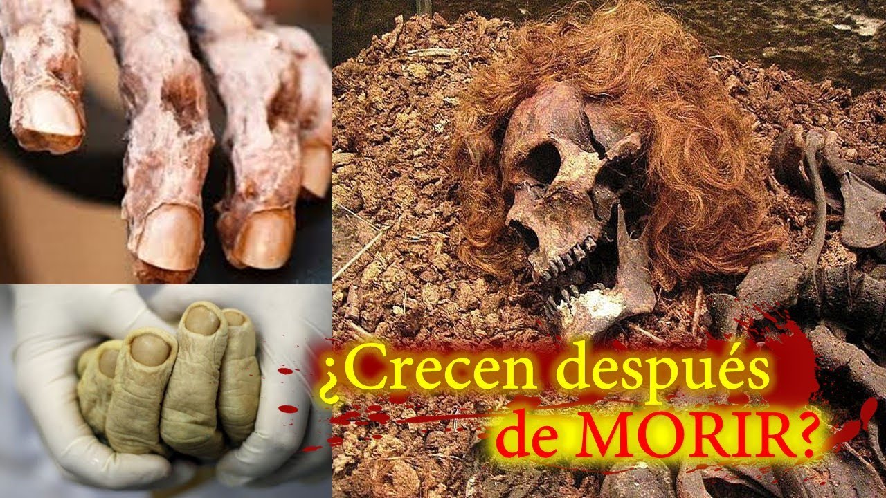 por que crece el pelo despues de morir