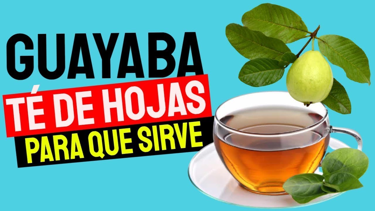 té de hojas de guayaba para la colitis