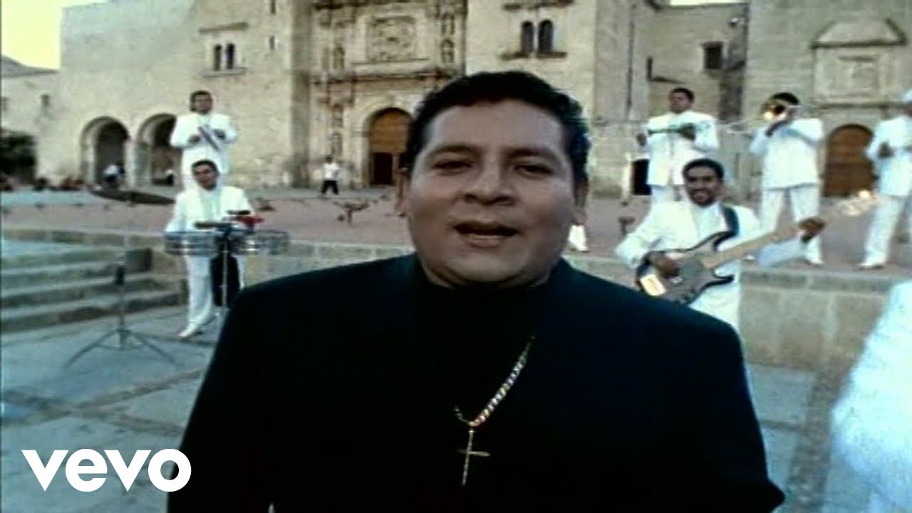 y tú te fuiste yo hice mi vida