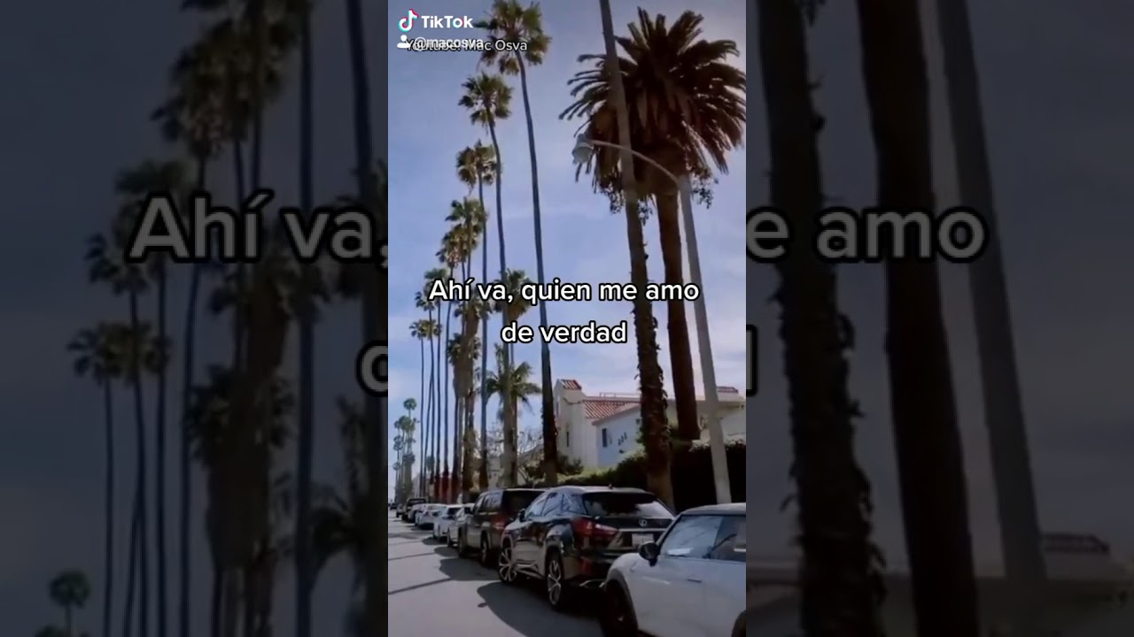 algun dia me veras pasar y vas a decir