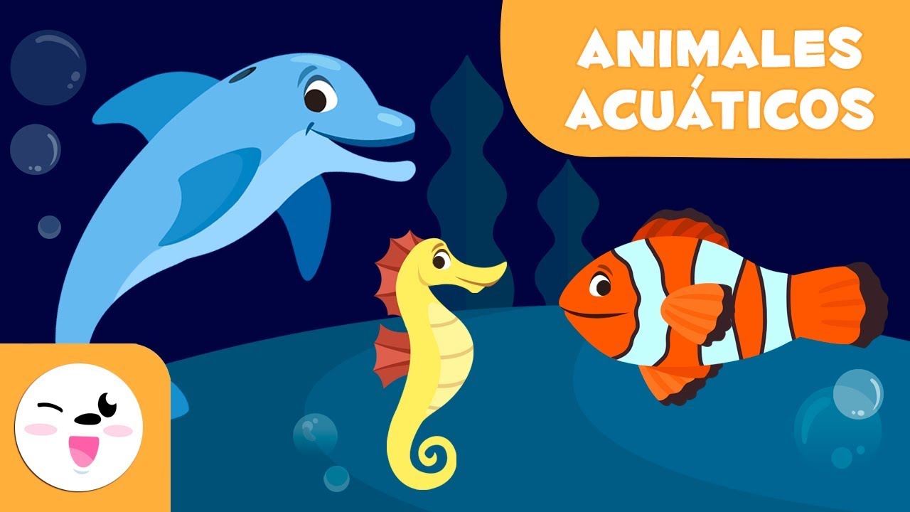 como podrias distinguir un animal terrestre de uno acuatico