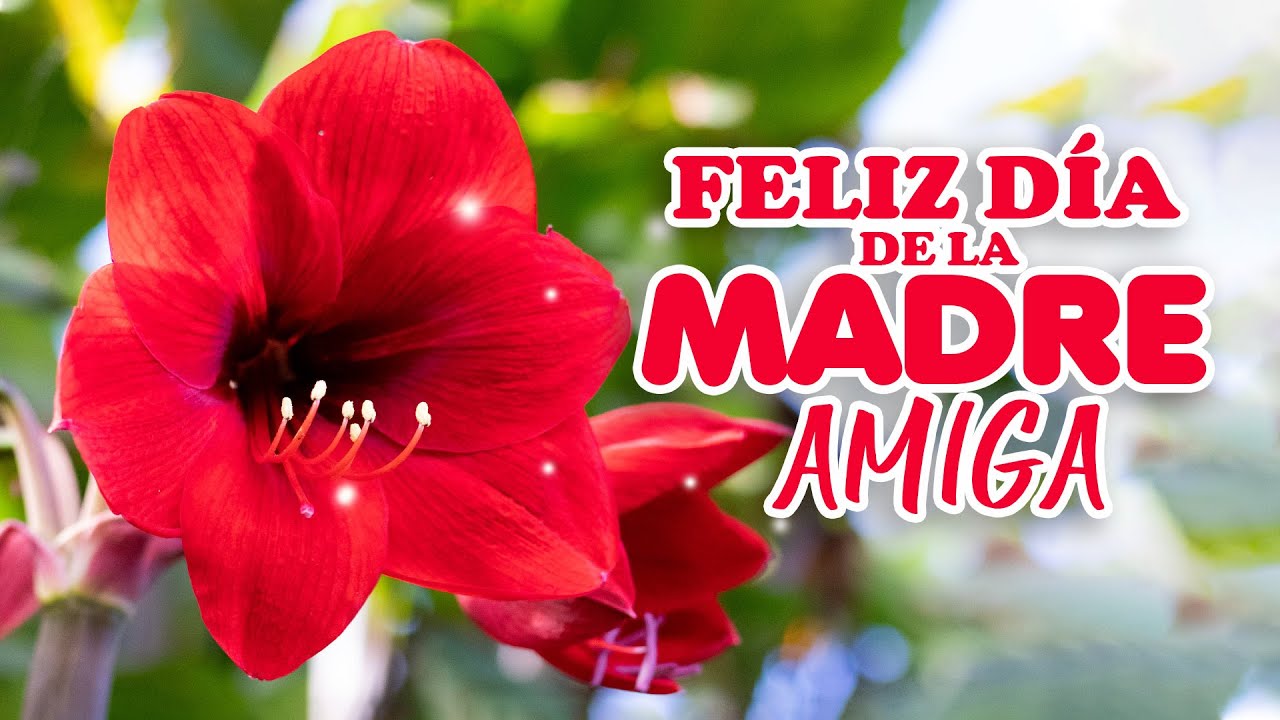 frases del dia de la madre para una amiga