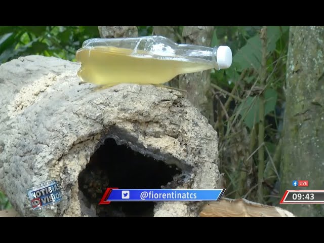 para que sirve la miel blanca de abeja