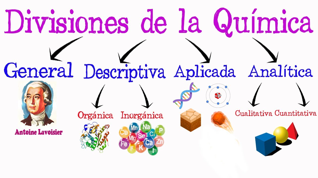 para su estudio como se divide la quimica