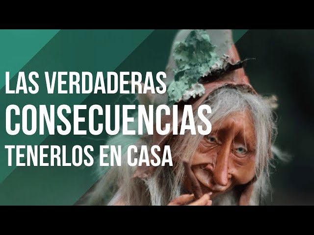 que significa tener un duende en la casa