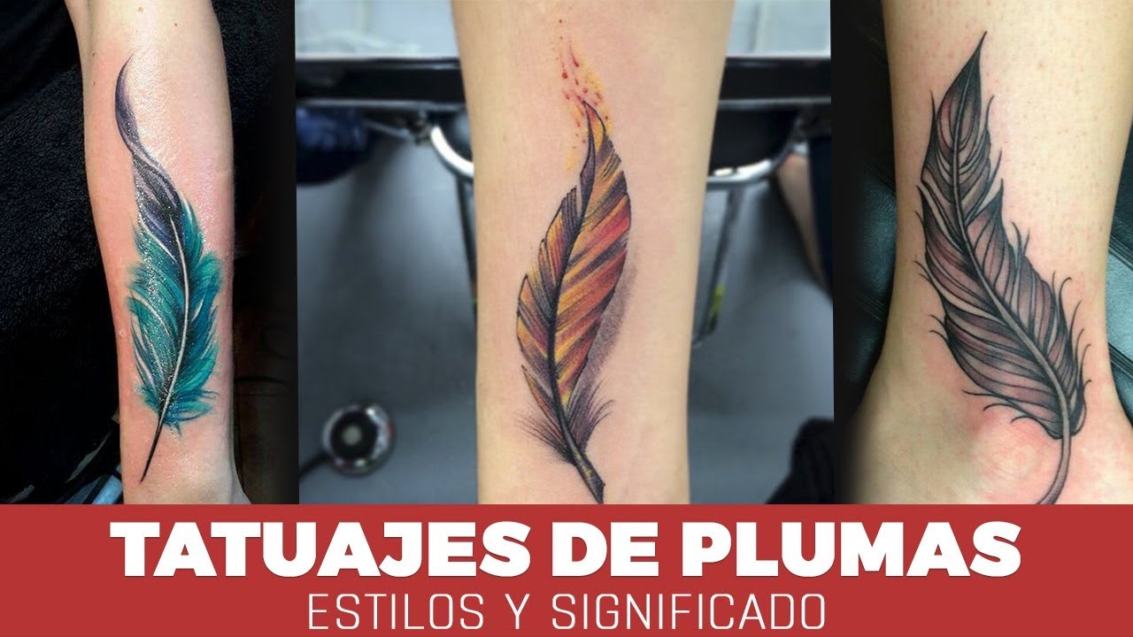 tatuajes de plumas para mujeres en el brazo