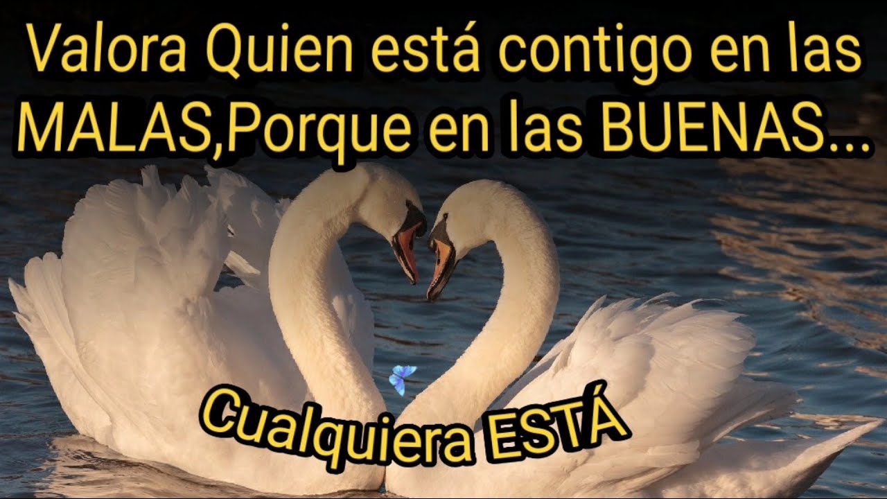 valora a quien esta contigo en las malas