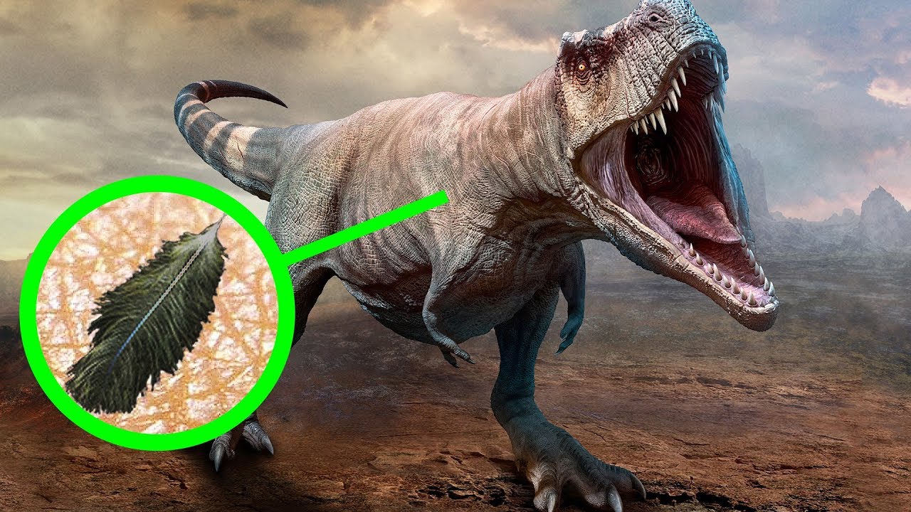 articulo de divulgacion cientifica de dinosaurios para niños