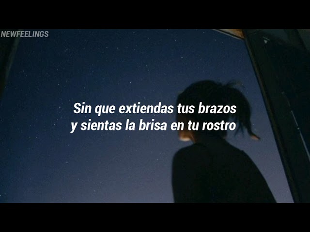 no puedo volar si no estan tus pasos letra