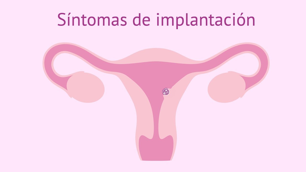 que se siente cuando el ovulo es fecundado