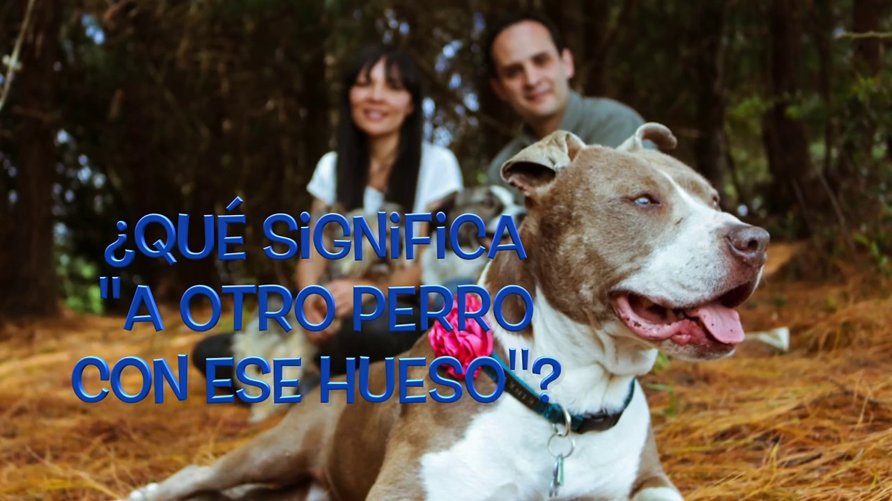 que significa a otro perro con ese hueso