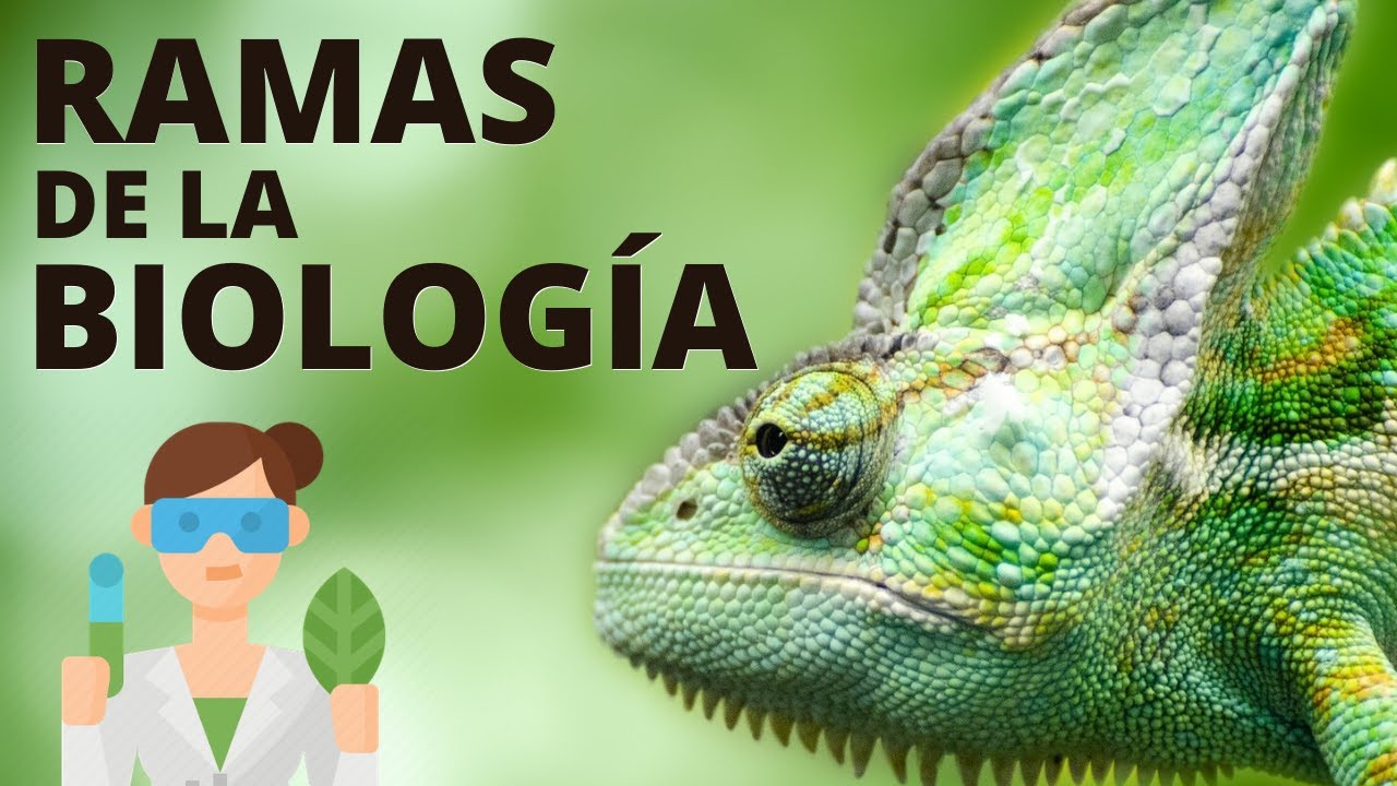 rama de la biología que estudia los hongos