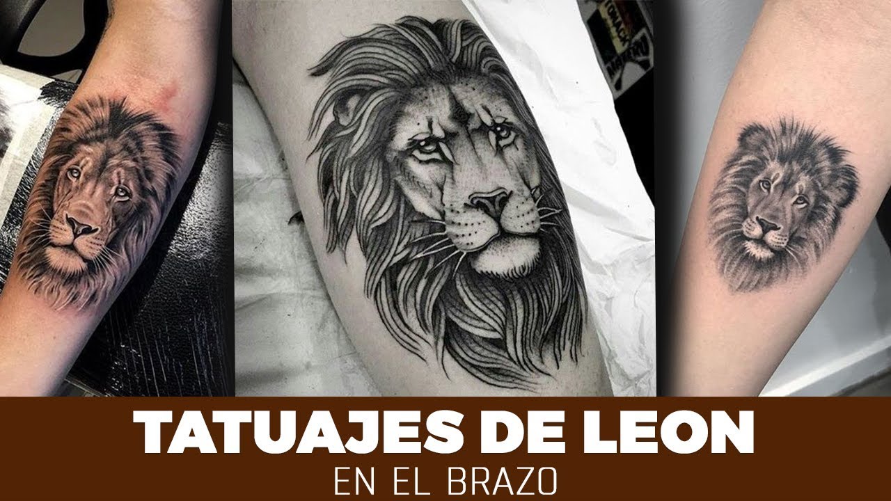 tatuajes de leon en el brazo para hombres