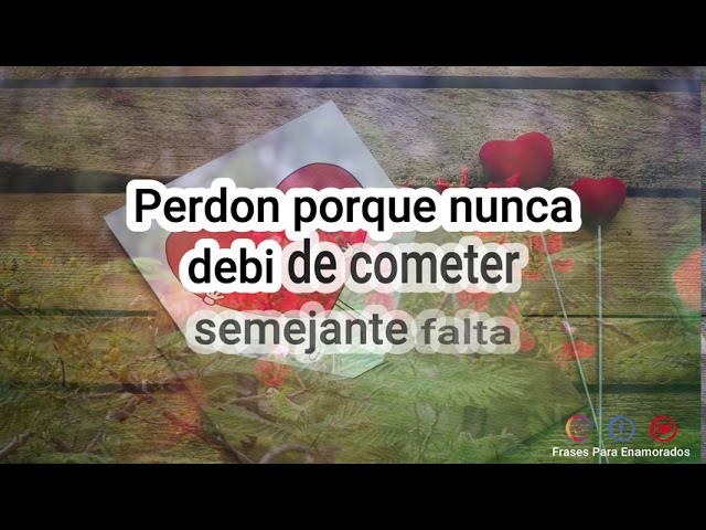 carta para pedir perdon a mi novio por mi actitud