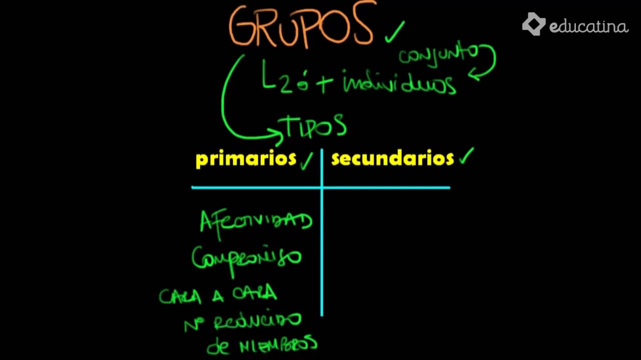 clasificacion de los grupos sociales primarios y secundarios