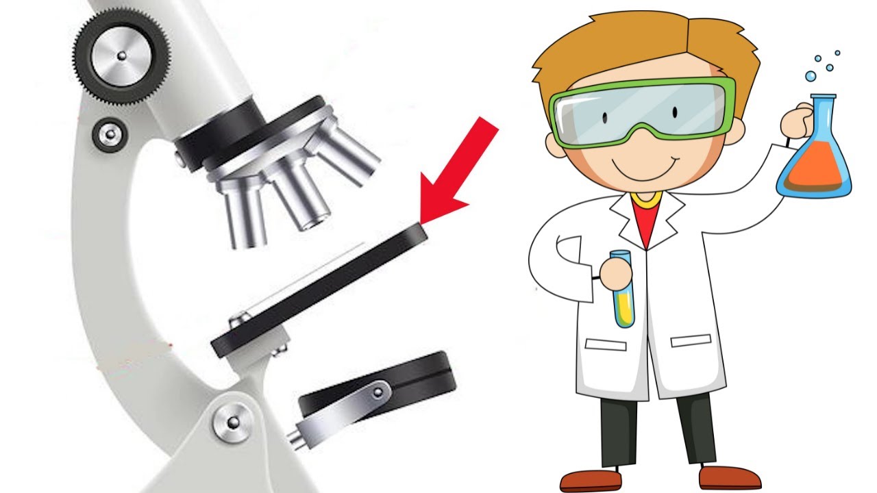cuales son las partes principales de un microscopio
