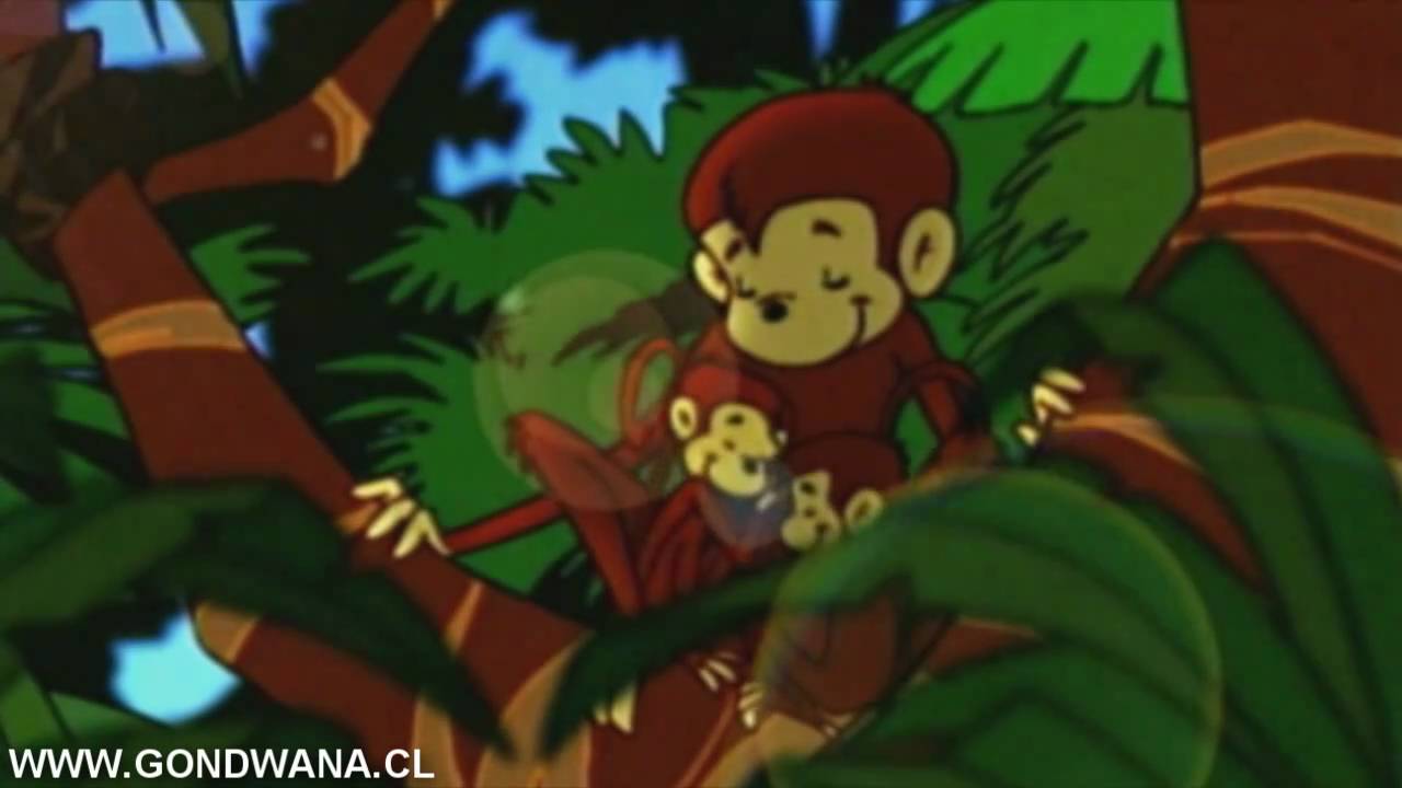 felicidad eso es lo que tu me das