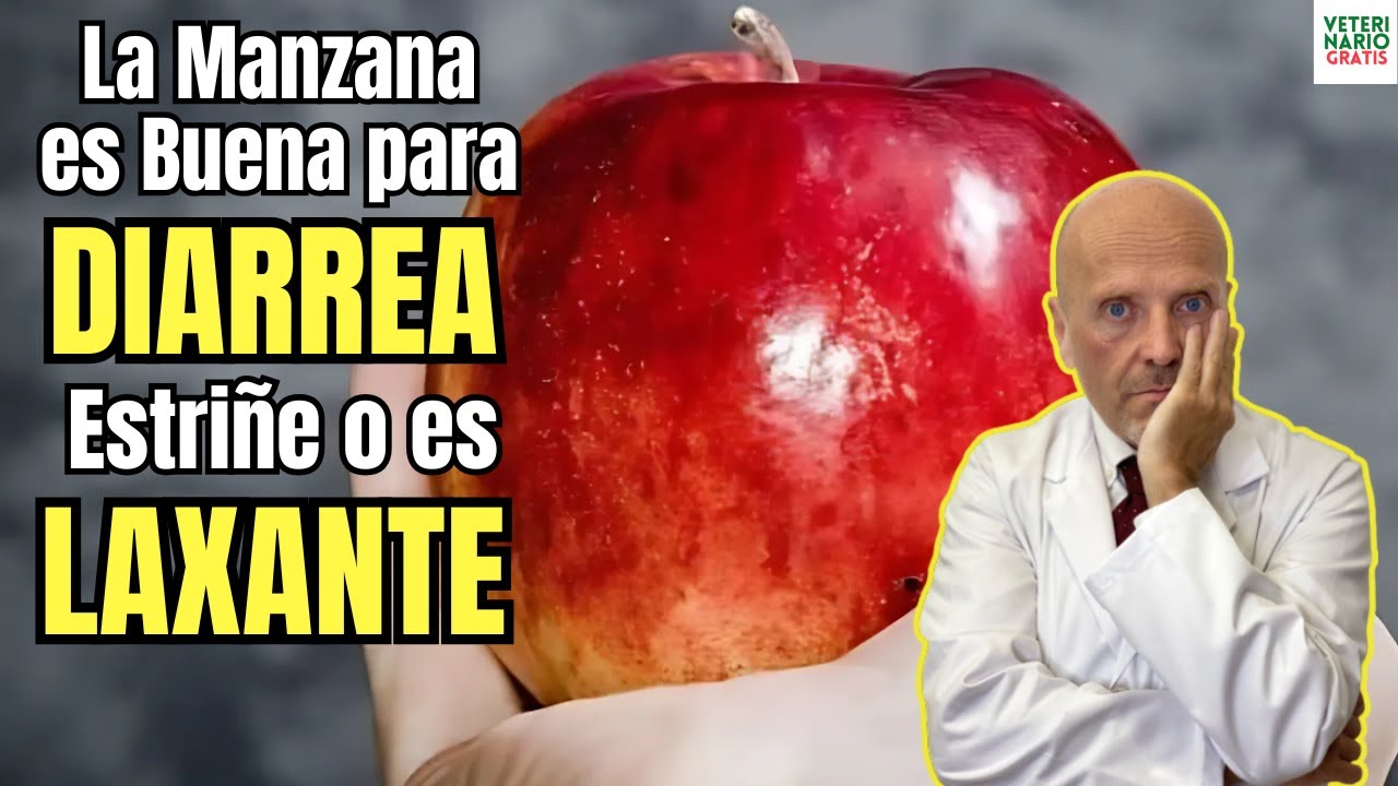 la manzana cruda es buena para la diarrea