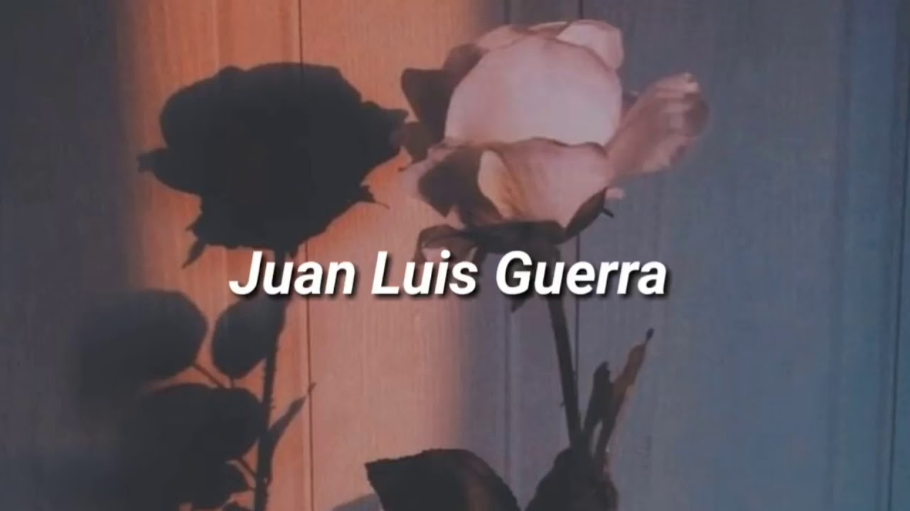 letra juan luis guerra te regalo una rosa
