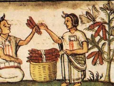 plantas medicinales de la prehistoria y para que sirven