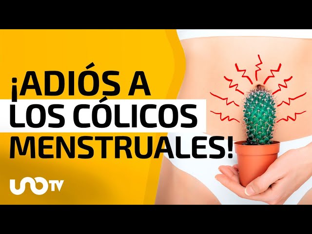 como se llama la pasta para los colicos