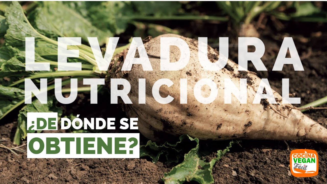 de donde se obtiene la levadura de cerveza