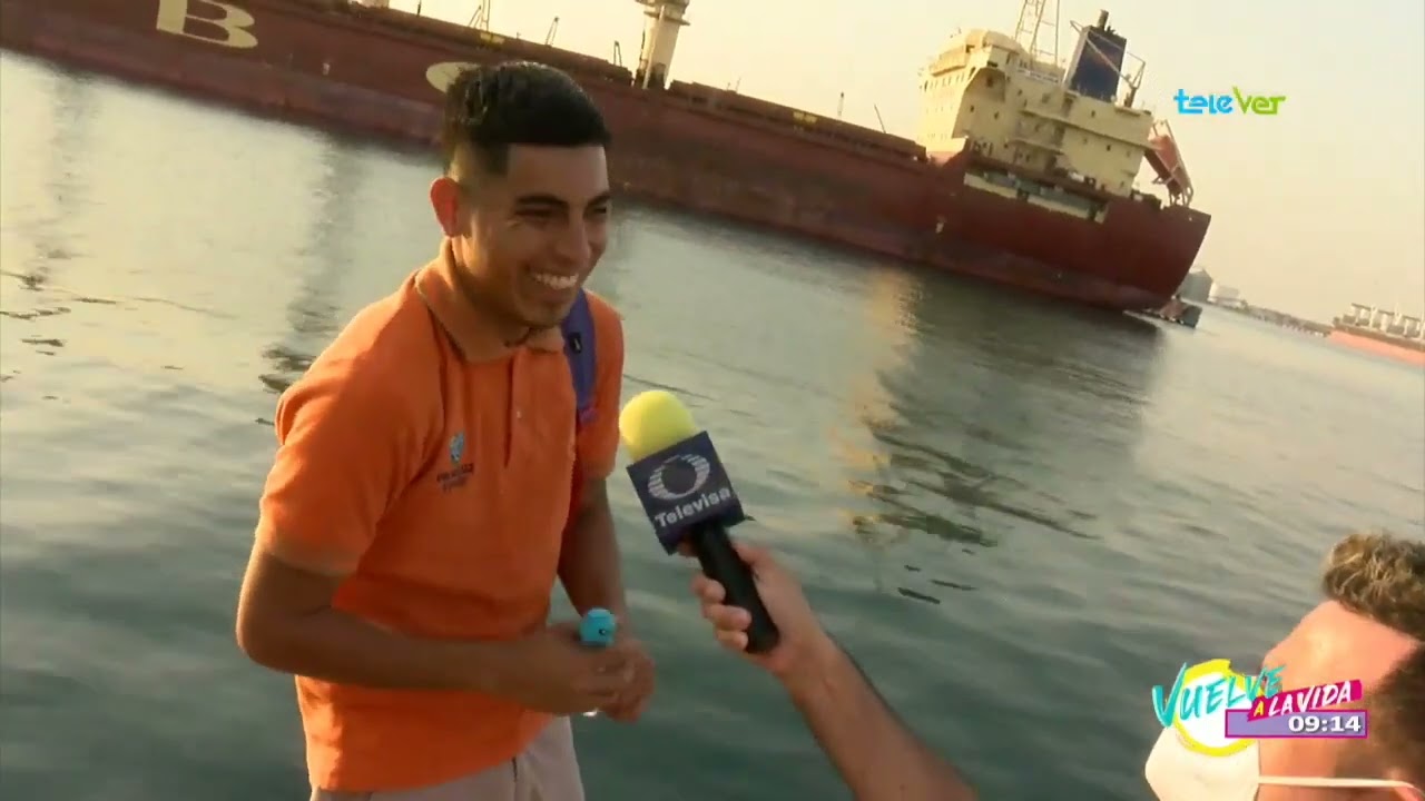 de que estan hechos los pinceles de pelo de camello
