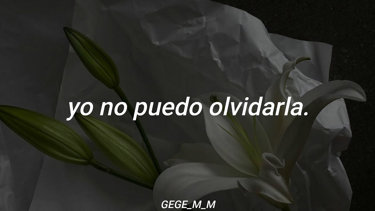 ella ya me olvido yo la recuerdo ahora letra