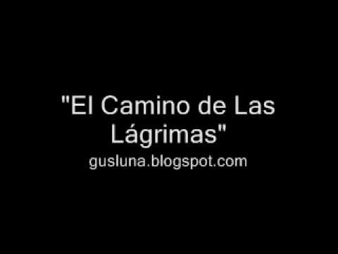 frases de jorge bucay sobre el camino de las lagrimas