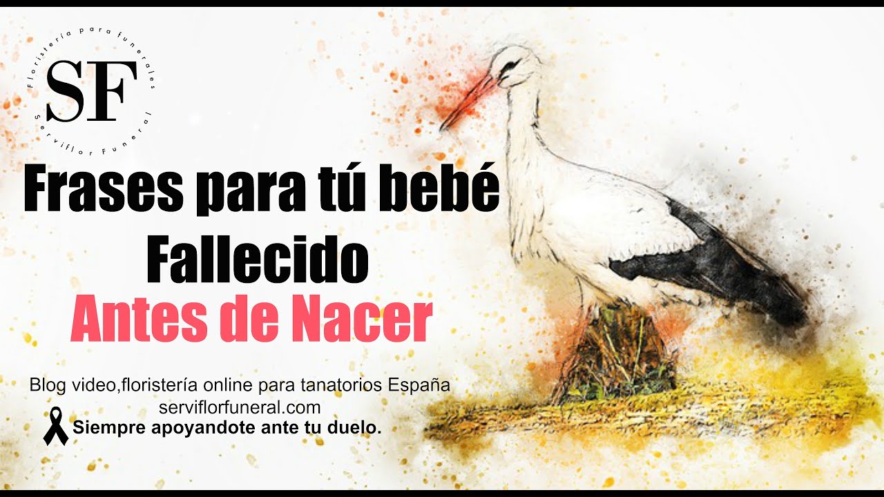 palabras para un bebé que esta en el cielo