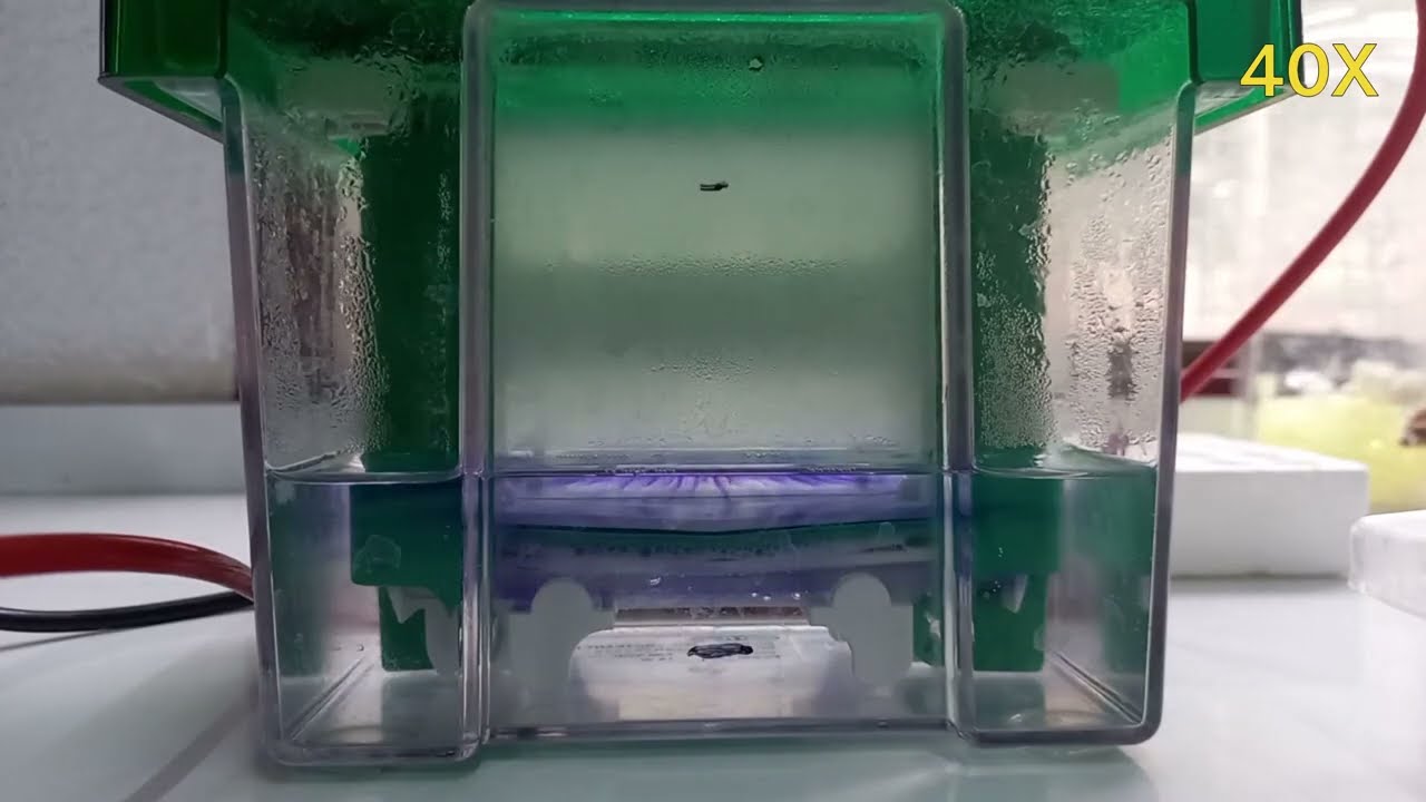 porque el azul de coomassie tiñe las proteínas