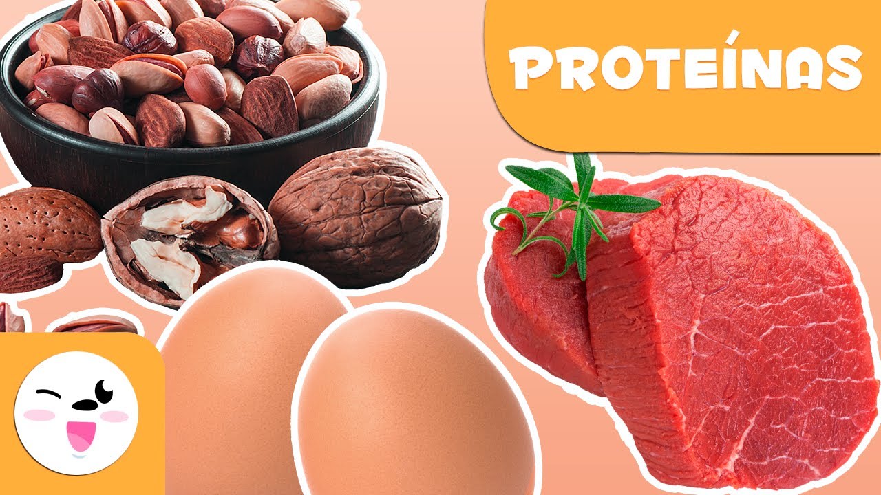 porque es importante consumir alimentos ricos en proteínas