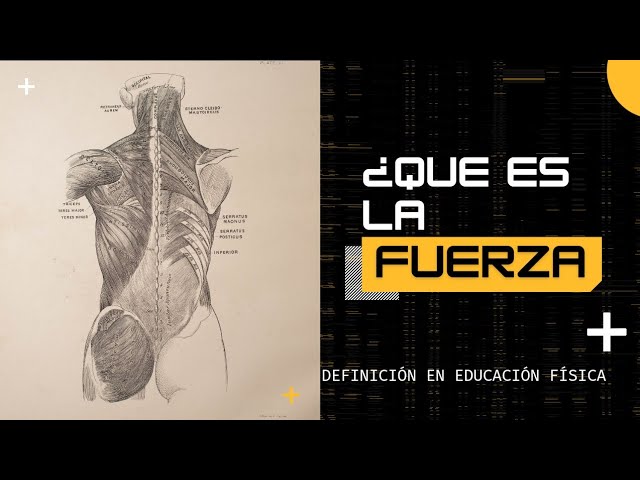 que es la fuerza rapida en educacion fisica