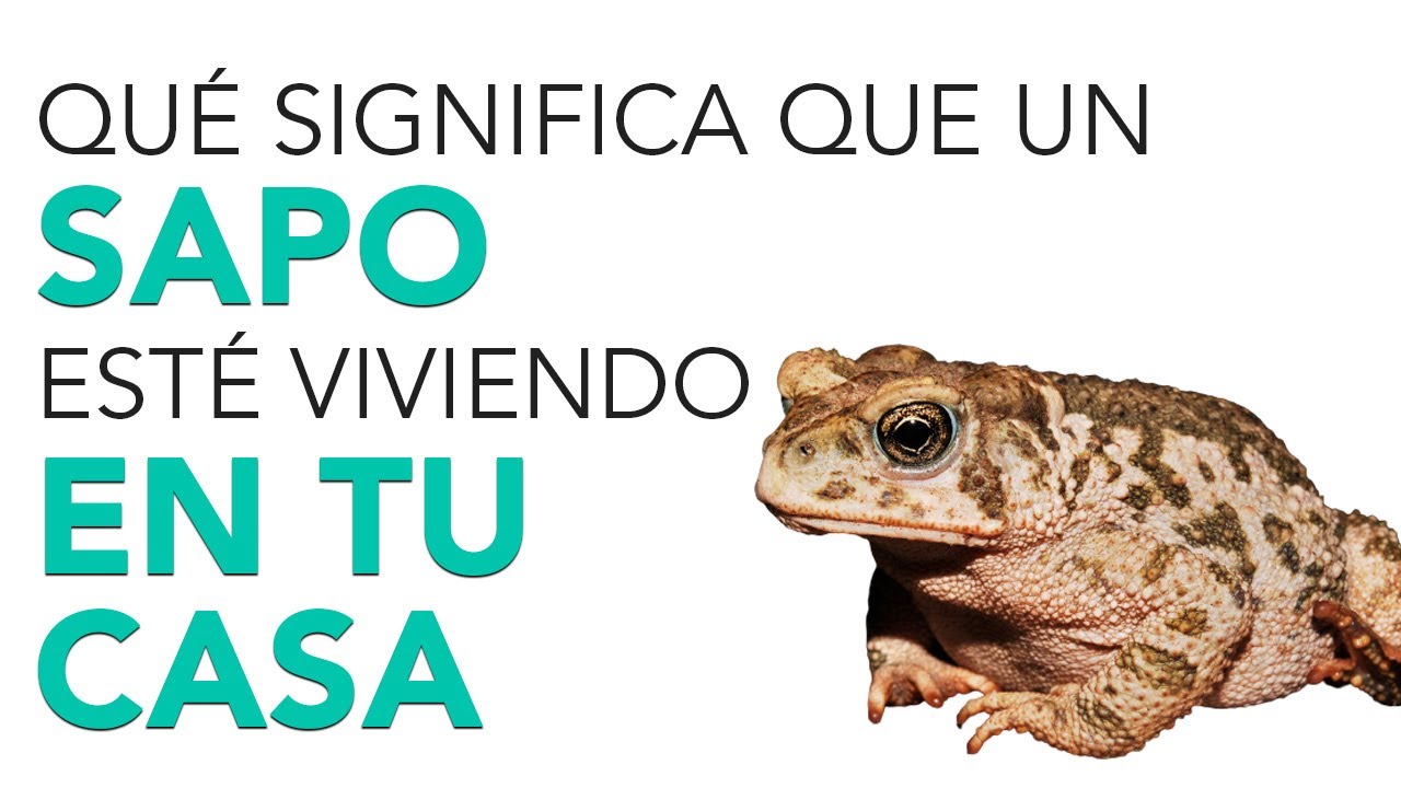 que significa que un sapo llegue a tu casa