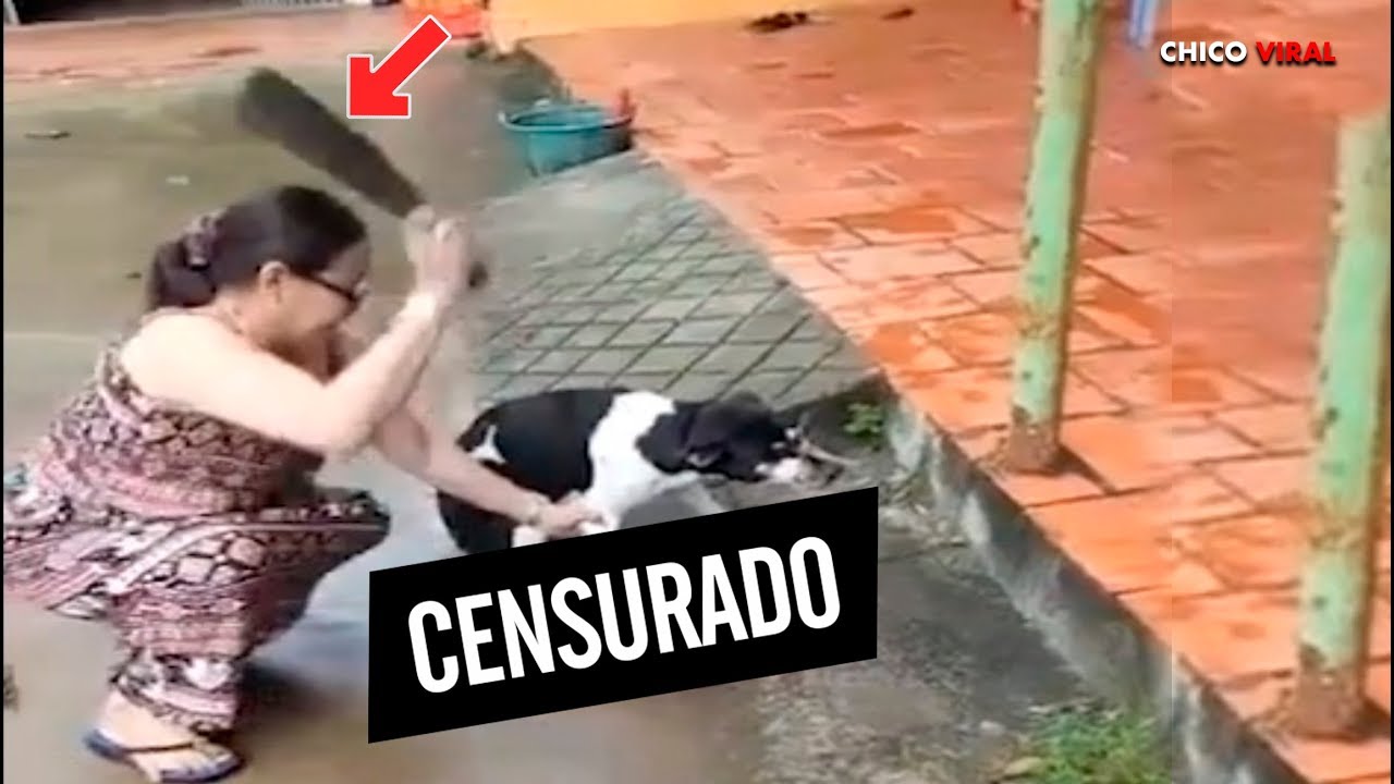 señora le corta la pata a un perro