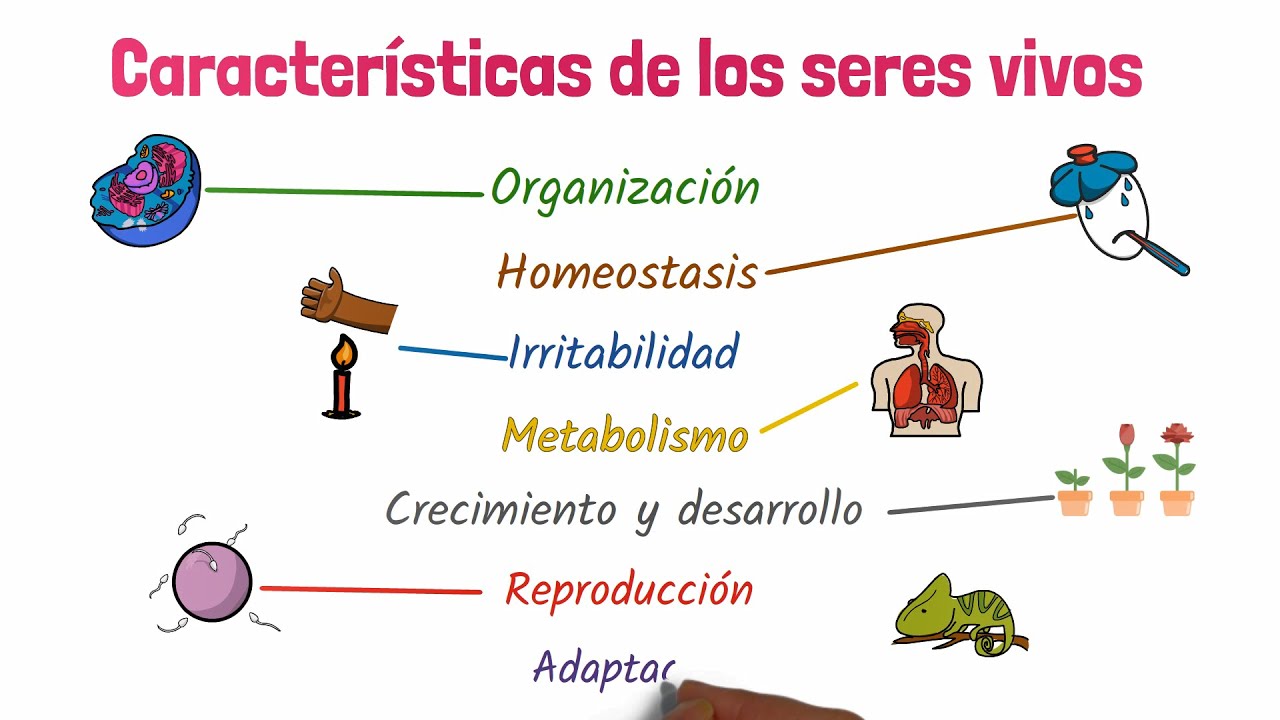 aspectos de los seres vivos que estudia la biologia