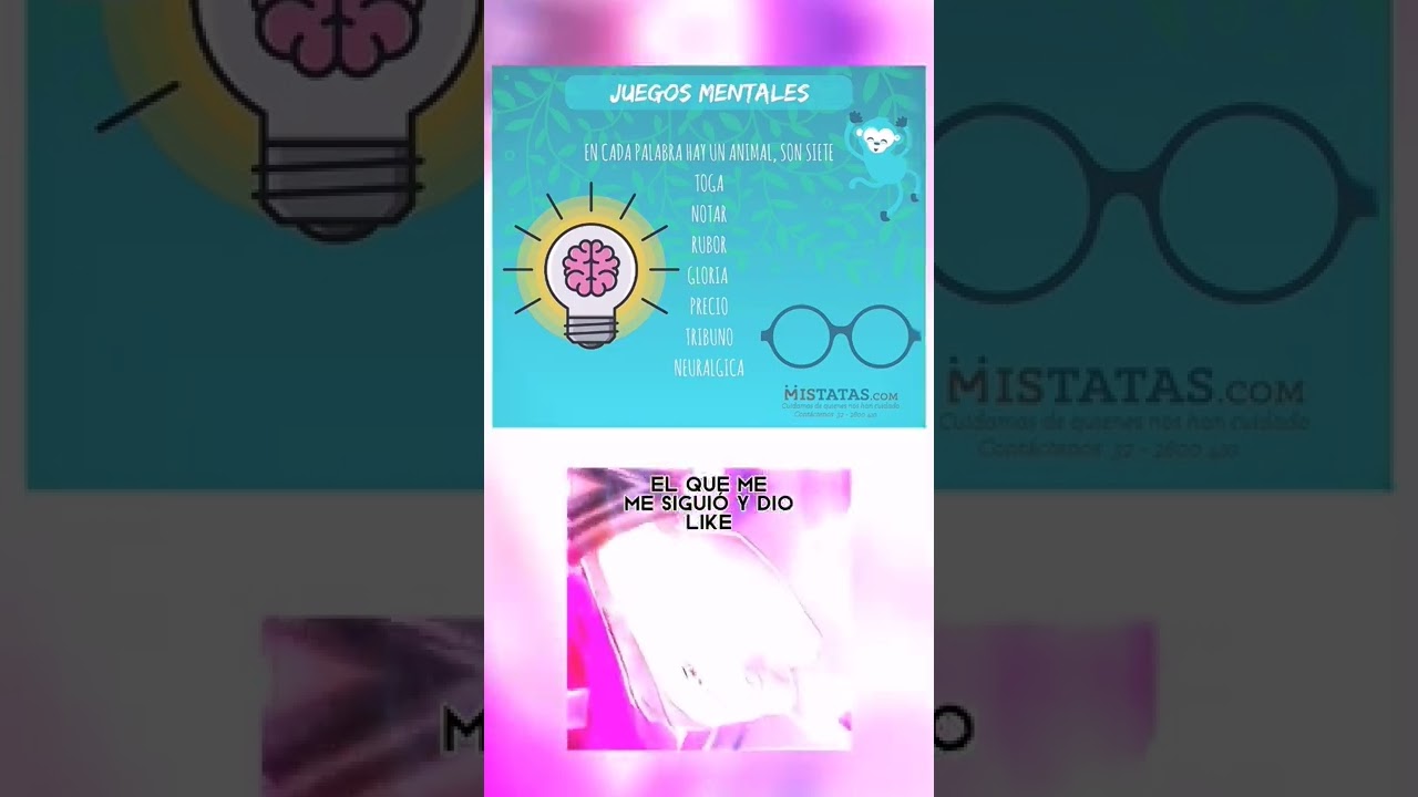 en cada palabra hay un animal son 7 respuesta