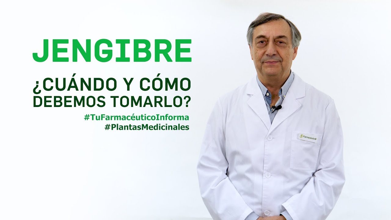 por cuanto tiempo se puede tomar el jengibre