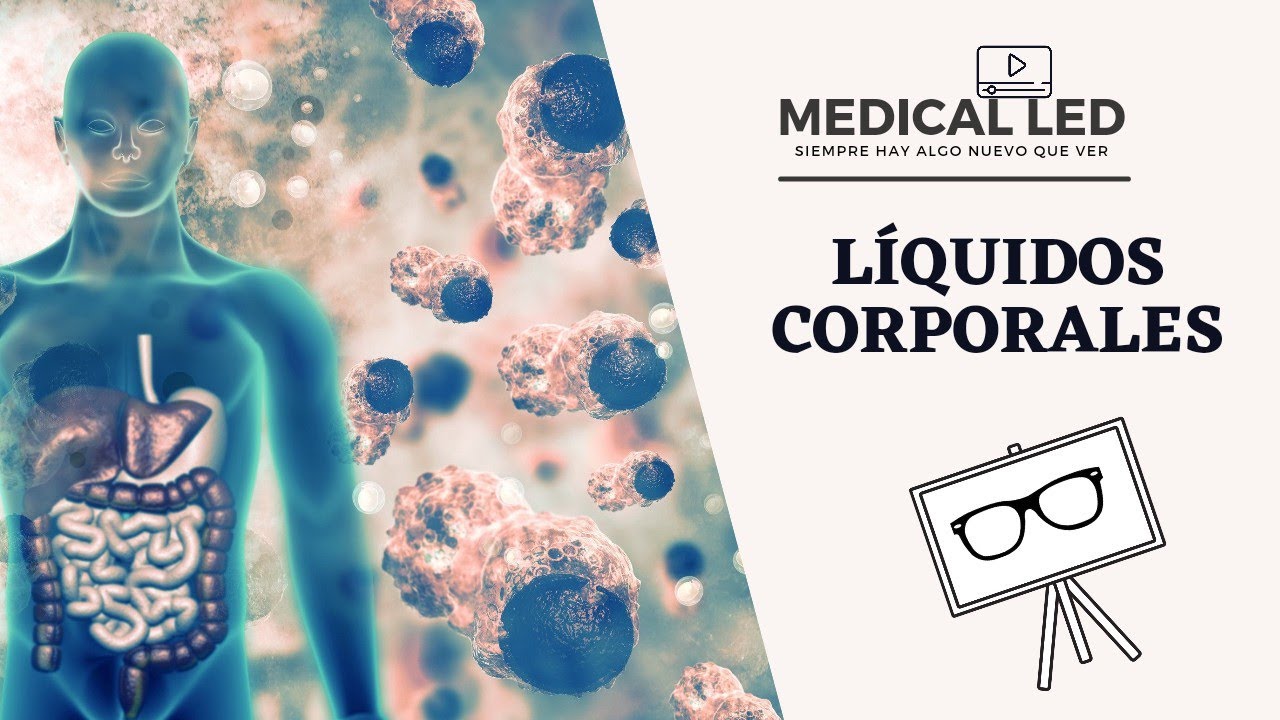 regulación de la composición iónica de la sangre